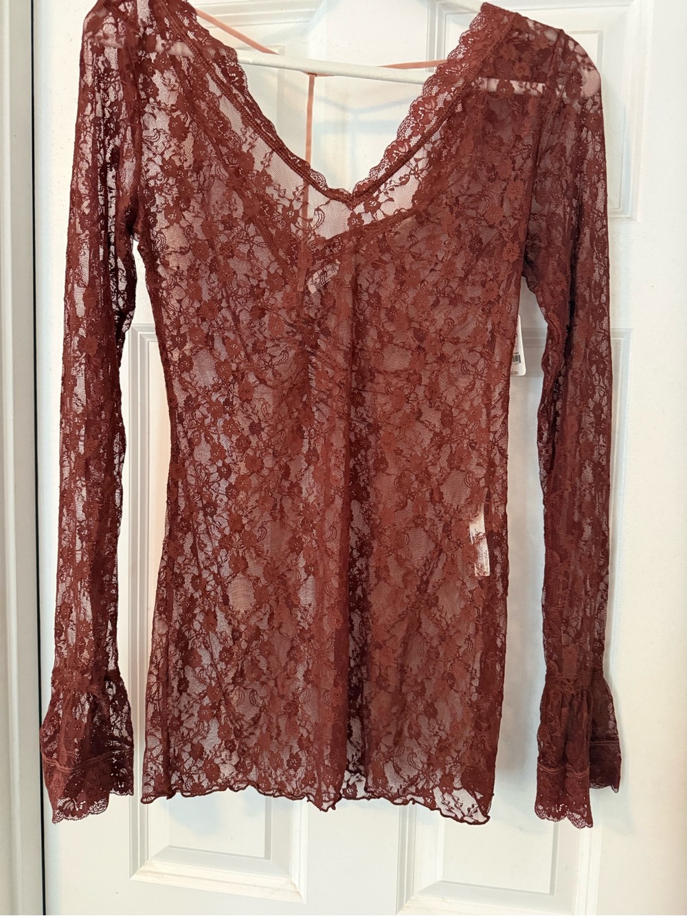 Free People Sheer Lace V-Neck Long Sleeve Top in Rust